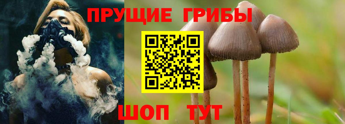 Псилоцибиновые грибы прущие грибы  Вход с VPN  Галлюциногенные грибы Psilocybe  как найти наркотики  Белогорск 